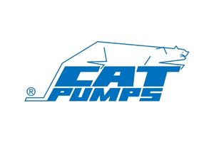 cat pump