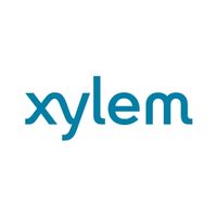 xylem